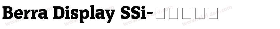 Berra Display SSi字体转换